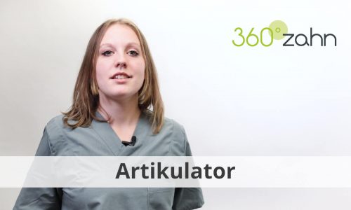 Video Artikulator