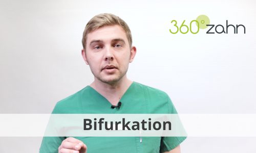 Video Bifurkation