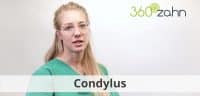 Video Condylus