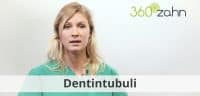 Video - Dentintubuli