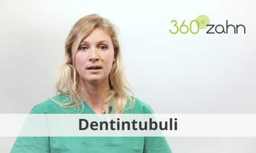 Video - Dentintubuli