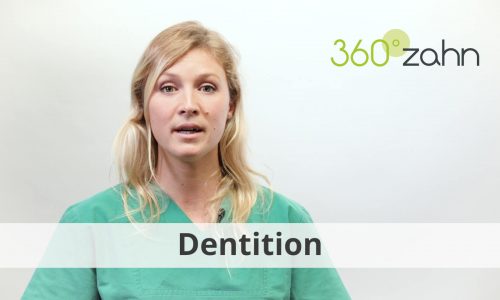 Video - Dentition