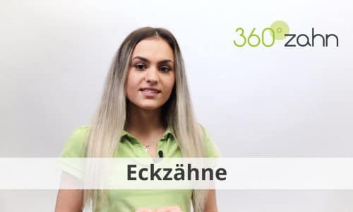 Video Eckzähne