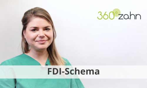 Video FDI Schema