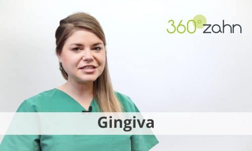 Video - Gingiva