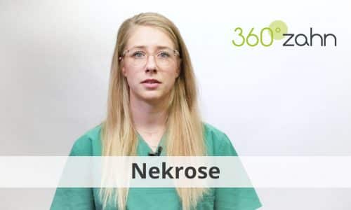 Video - Nekrose