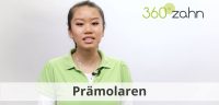 Video - Prämolaren