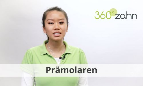 Video - Prämolaren