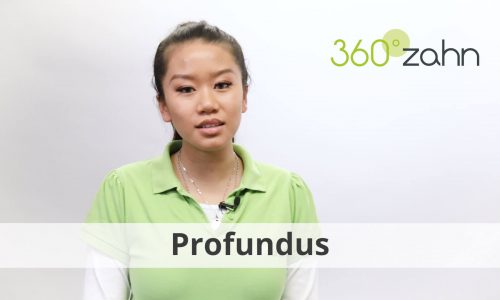 Video - Profundus