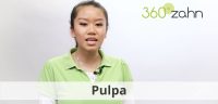 Video - Pulpa