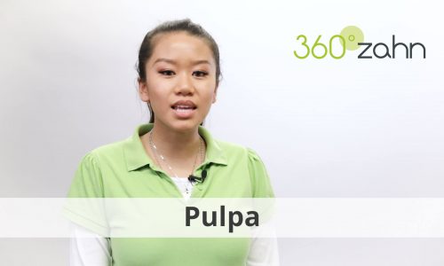 Video - Pulpa