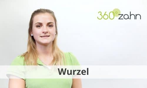 Video Wurzel