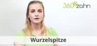 Video Wurzlespitze