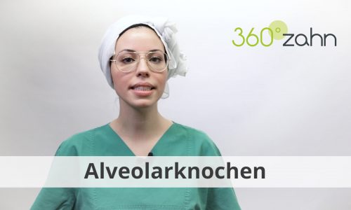 Video - Alveolarknochen