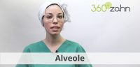 Video - Alveole