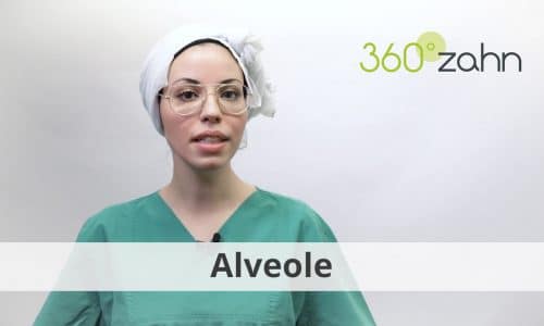 Video - Alveole