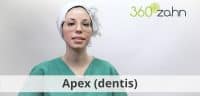 Video - Apex dentis