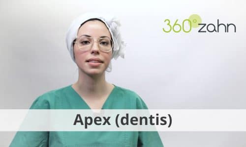 Video - Apex dentis