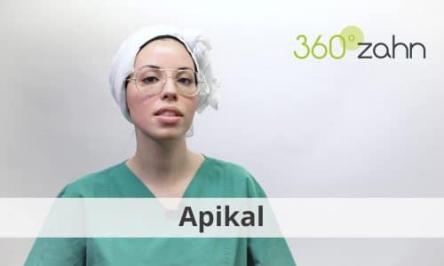 Video - Apikal