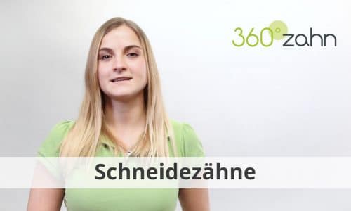 Video - Schneidezähne