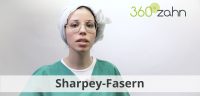 Video - Sharpey Fasern