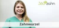 Video - Zahnwurzel