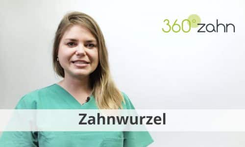 Video - Zahnwurzel