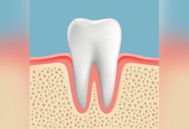 Zähne und Organe