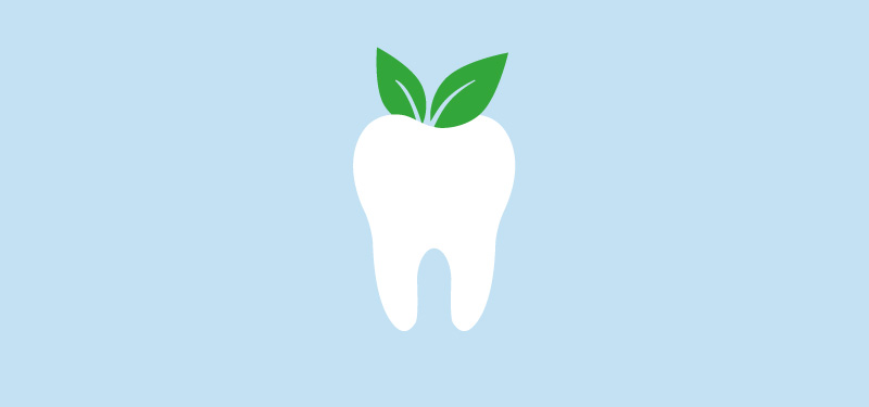 Vegane Zahnpflege Illustration