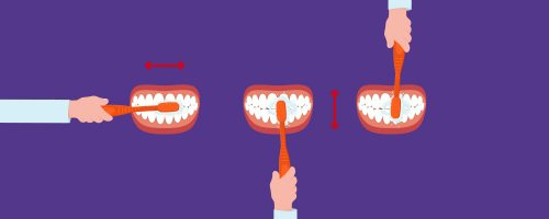 Zahnpflege Tipps Infos